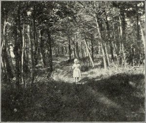 forest child